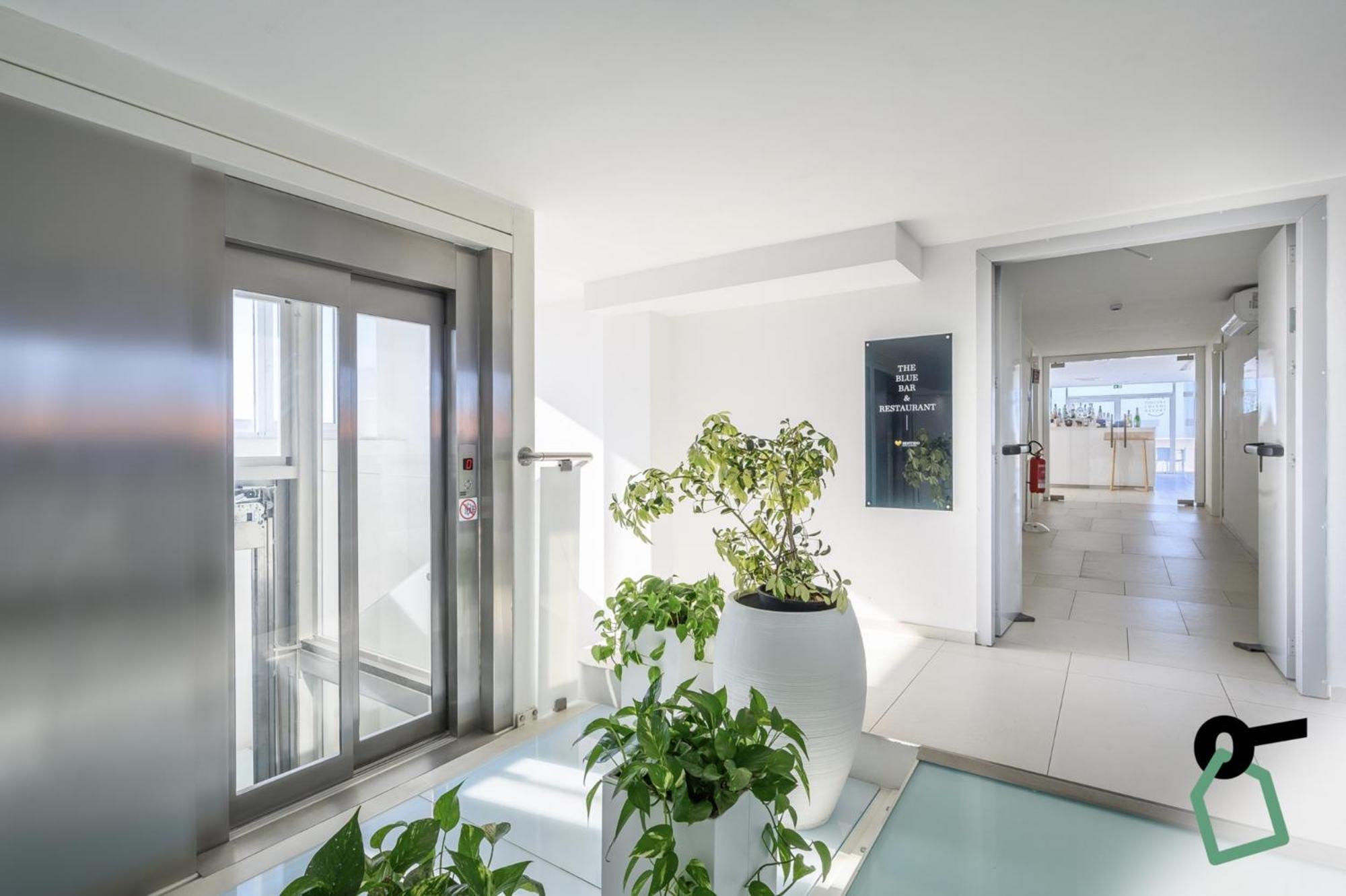 Hotiday Room Collection - Tirrenia Dış mekan fotoğraf